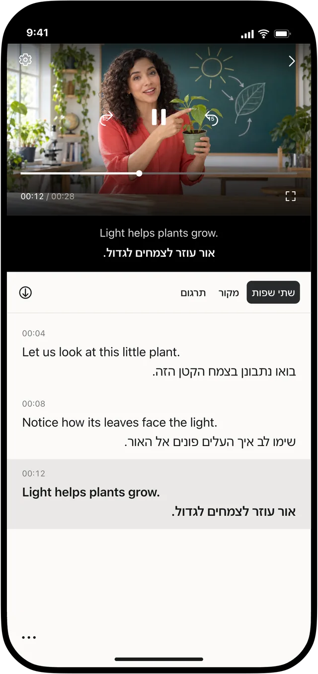 צופים. מבינים.