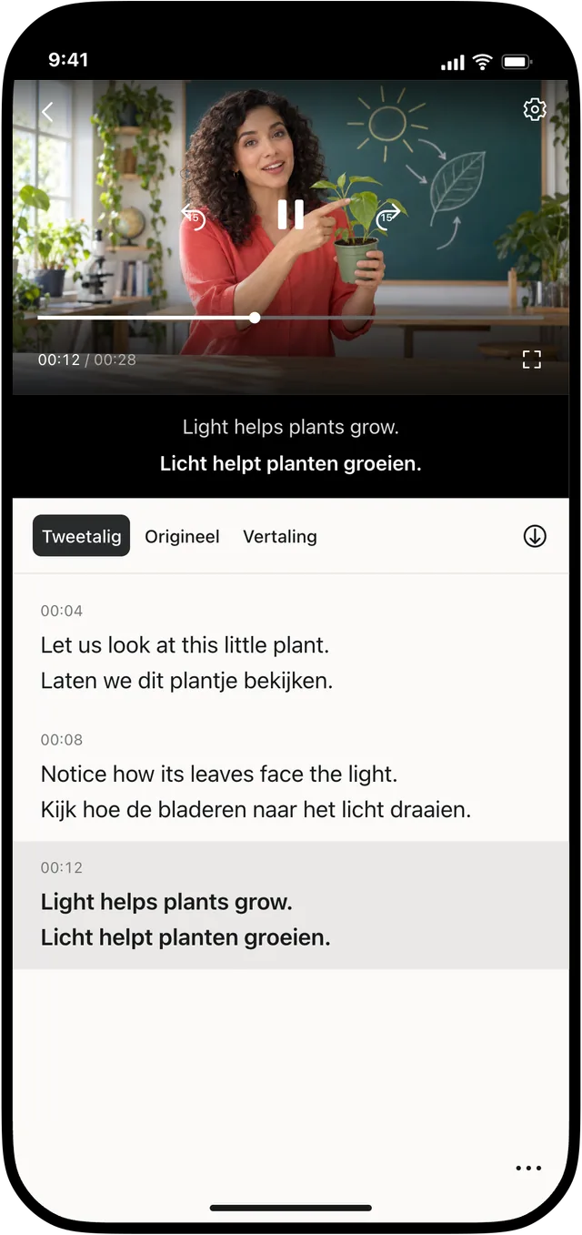 Kijk. Begrijp.