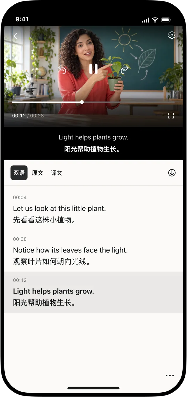 边看视频 边看翻译